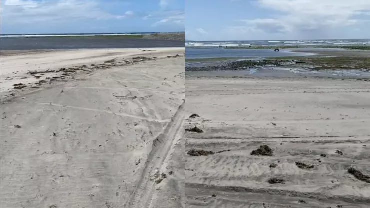 MAR VICENTE GUERRERO