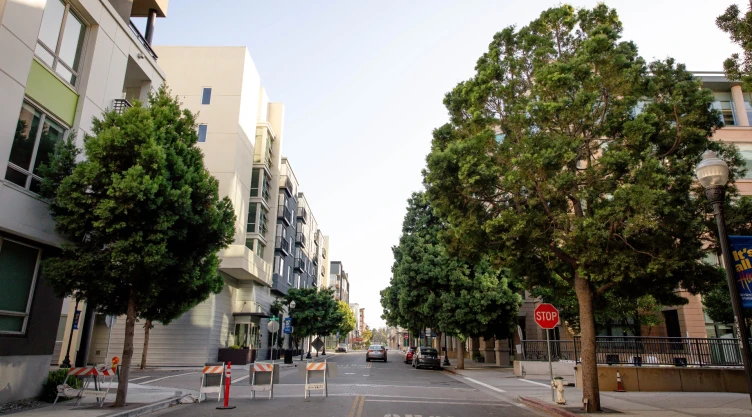 una vista de las calles de Sunnyvale en una tarde soleada.