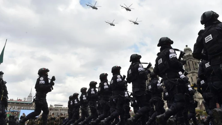 reforma de las Fuerzas Armadas Senado cuántos votos