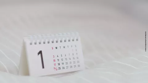 Calendario