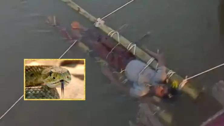 Niño muere por mordedura de serpiente.jpg