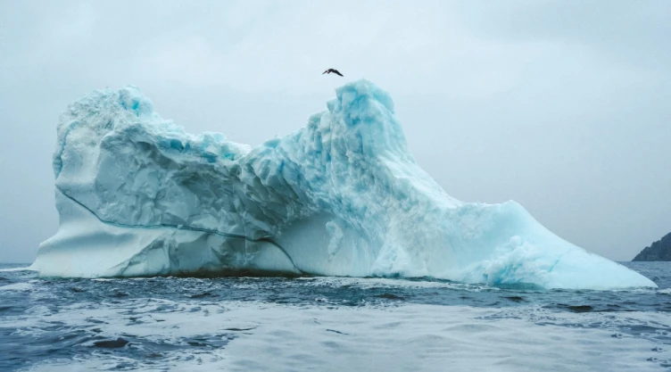 molly-carlson-hace-historia-un-salto-casi-15-metros-desde-un-iceberg