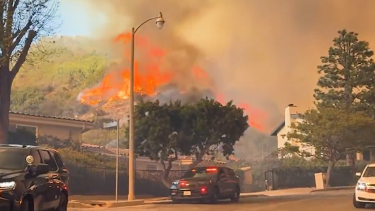 Incendios devastan California, severos daños en Los Ángeles 8 de enero 2025