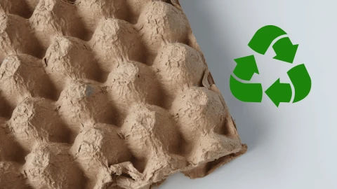 Así puedes mejorar el aspecto de tu caja de huevos de cartón con una idea de reciclaje sencilla.png