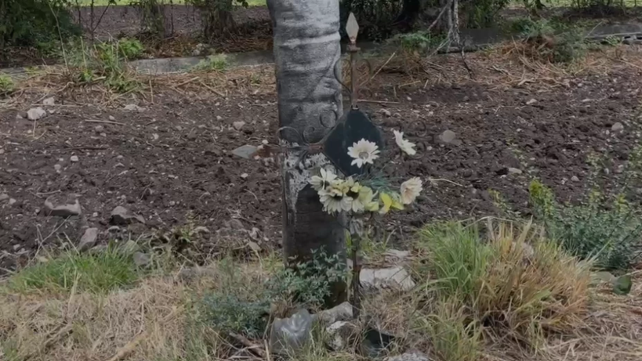 cae rayo Tlaquiltenango