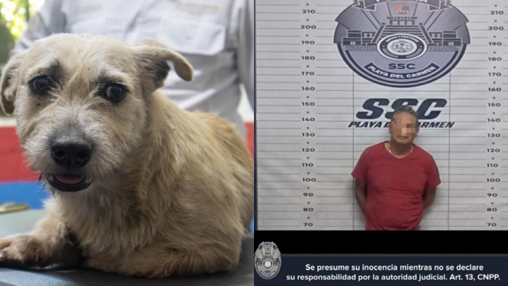 Detienen-y-golpean-a-hombre-por-abusar-sexualmente-de-una-perrita-en-Quintana-Roo