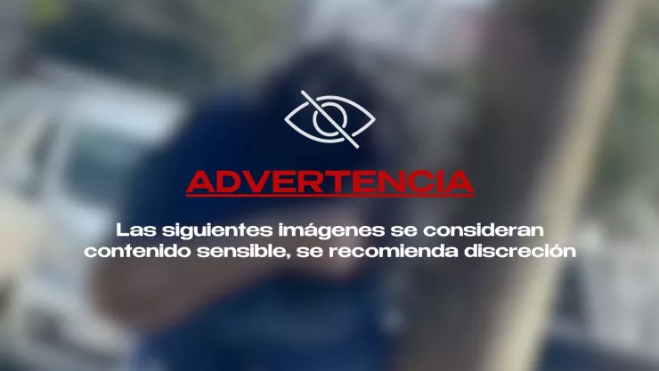 VIDEO: Mujer es rodeada y picada más de 200 veces por un violento enjambre