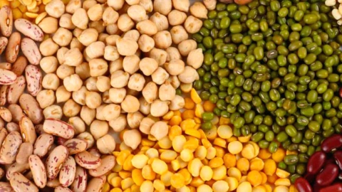 Día de las Legumbres producción México