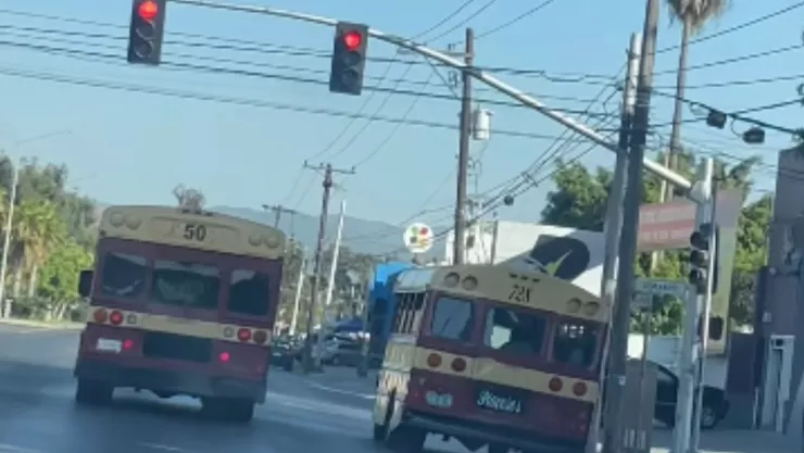 Calafias de Tijuana jugando carreritas