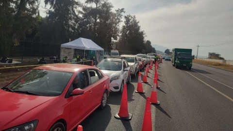 Nadie se salva… llevan Torito a las fiestas de Cajititlán