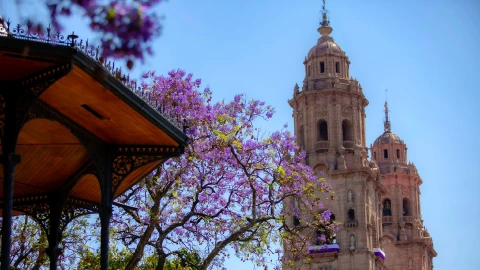 Morelia Michoacán.png