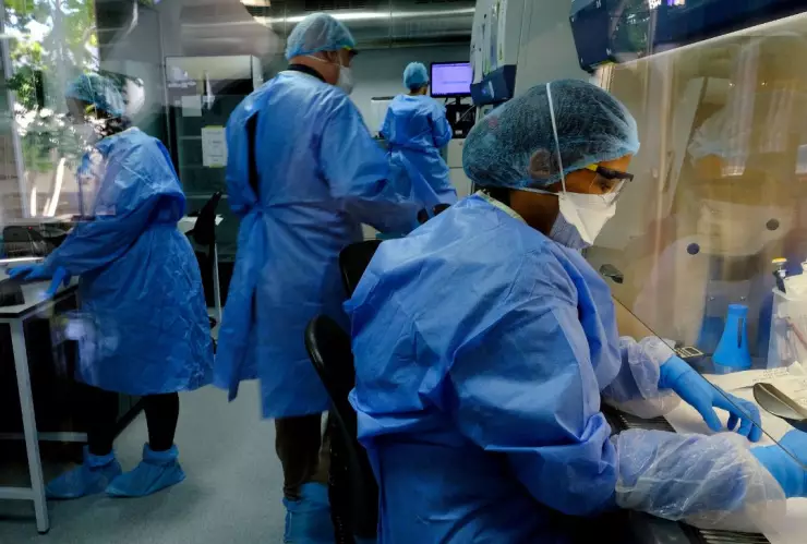 Cofepris guías para medicamentos