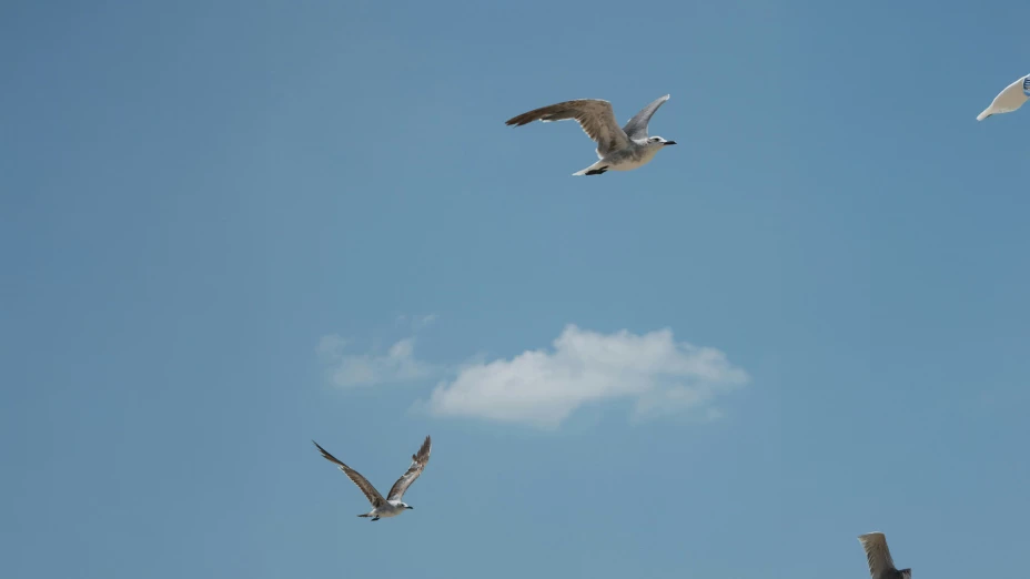 Clima en Puerto Vallarta hoy 12 de mayo sol, calor y precauciones en la playa