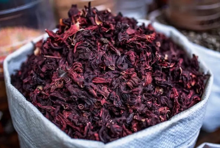 Estudio revela efectividad de flor de jamaica para eliminar bacterias