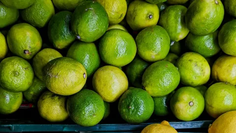 Asesinato del líder limonero, Bernardo Bravo: agricultores denuncian violencia y extorsión