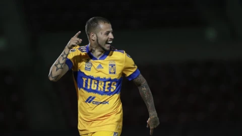 Tigres