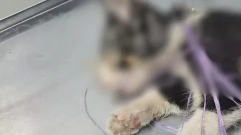 Texto del párrafo - 2025-05-14T095033.303.jpg