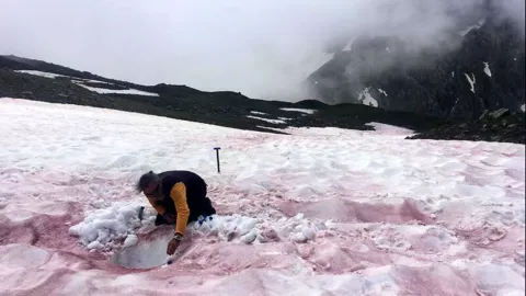 nieve sangre fenomeno