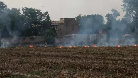 ¿En que zona del AMG hay más contaminación? Así está la calidad del aire en Guadalajara este 21 de agosto de 2025