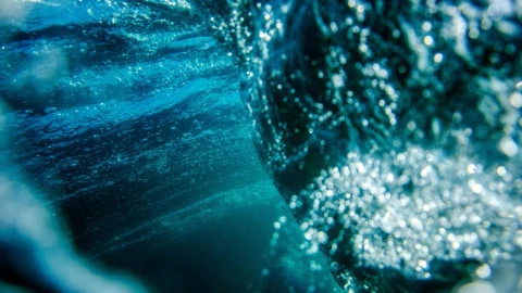 desoxigenacion-oceanos-estudio-especies-olas-agua