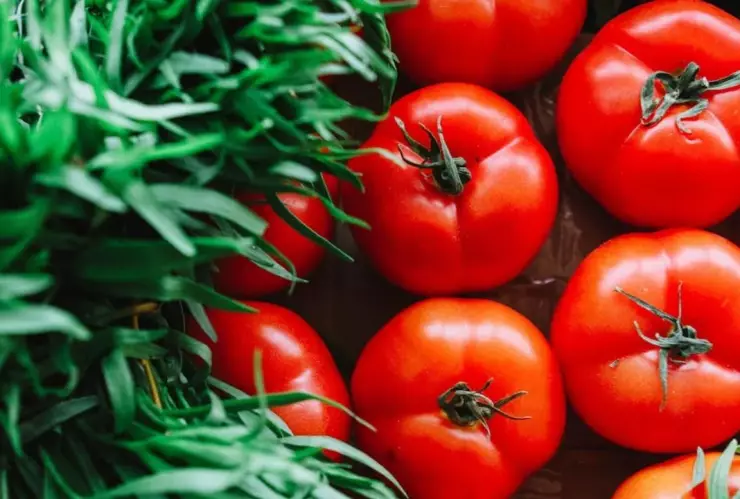 Precio de la canasta básica en México 2025 para enero 2025; lista de precios