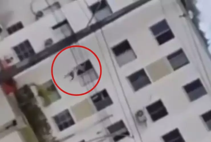 Policía arroja al amante de su esposa en Brasil