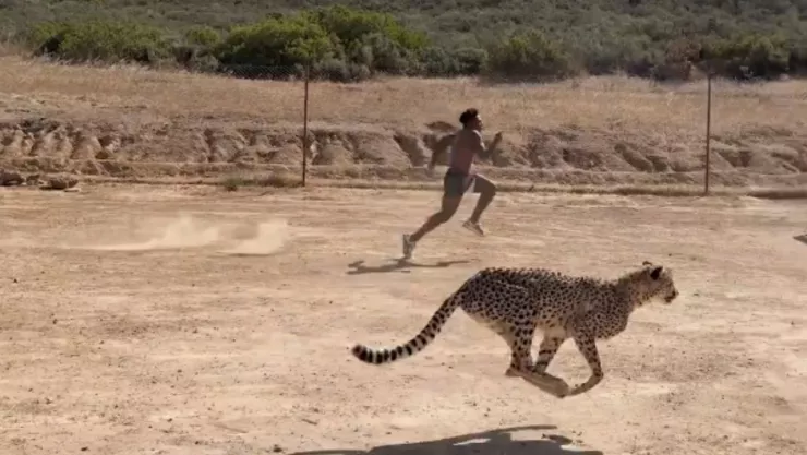 IShowSpeed corre contra un guepardo y termina herido: así fue la épica carrera