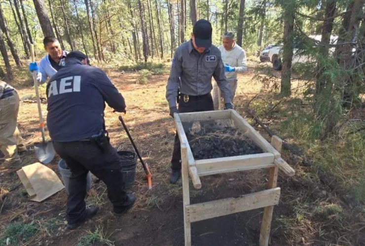 Restos óseos en Madera