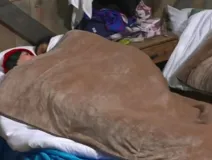 bebeshita y bocolor duermen juntos.jpg