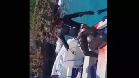 buzo colombiano es atacado por un tiburon