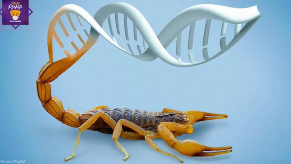 Alacrán ADN_UNAM-DGCS.jpg