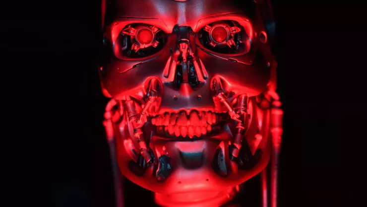 29 de agosto skynet terminator.jpg