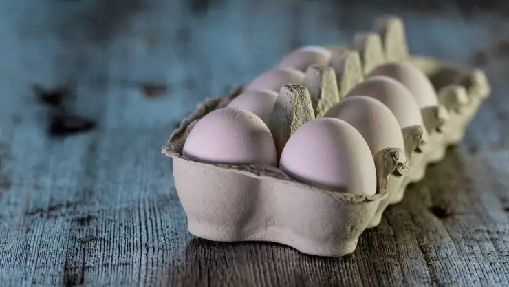 huevos