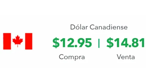 Precio del dólar en México hoy 25 de febrero 2025, ¿cuál es el tipo de cambio