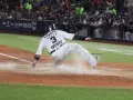 Conoce a los Sultanes de Monterrey de la Liga Mexicana de Beisbol