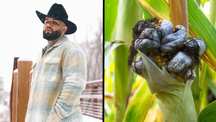 Carin León La boda del huitlacoche