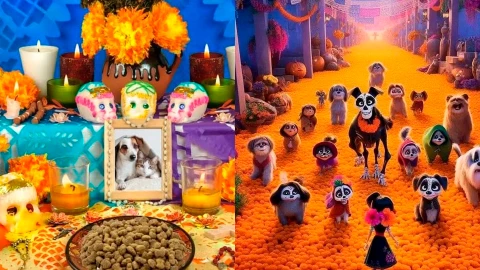 27 de octubre: Día de Muertos para Mascotas 