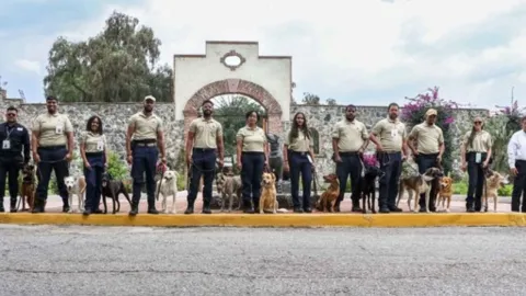 Lomitos graduados del Ceacan con sus dueños.