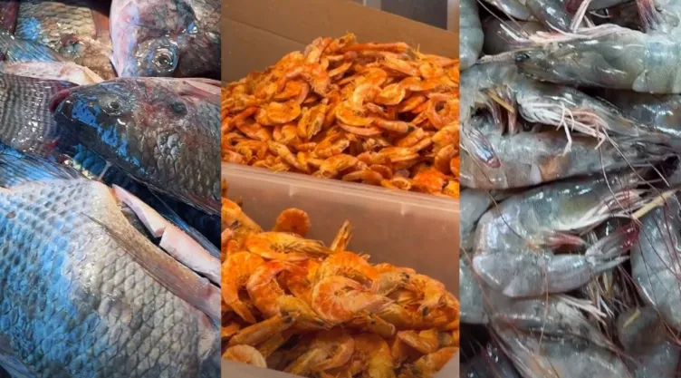 Cuaresma 2026: lista de pescados más caros y cómo gastar menos al comprarlos