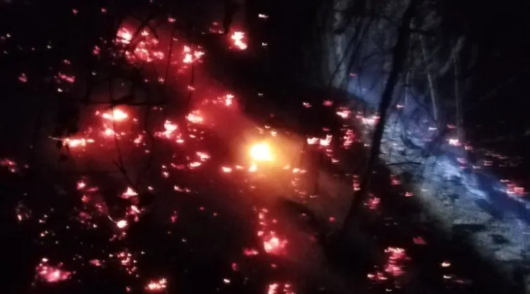 Incendio.jpeg