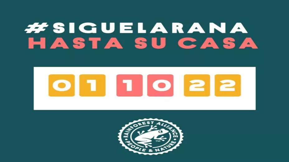 Inicia campaña Sigue la Rana que promueve consumo responsable.jpeg