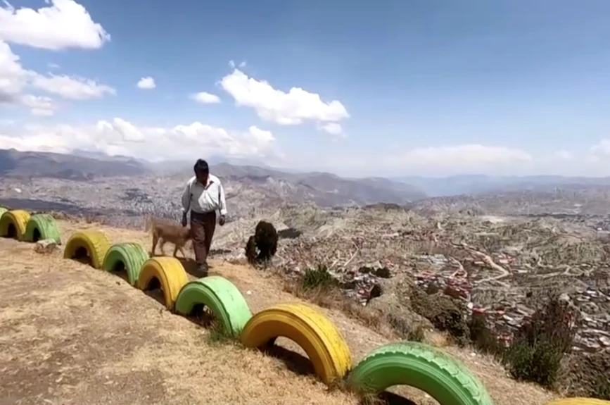 Sus parientes y vecinos a veces ayudan con la comida para su fiel perro, así como Rosmery Altamirano que lleva tiempo trabajando en la alimentación de perros callejeros. Altamirano contrató a Quispe y “Cano” para que la ayudaran a transportar comida para otros canes sin hogar en la ciudad.