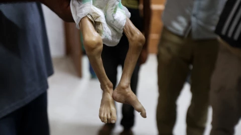 La ONU advierte sobre una posible hambruna en Gaza. La IPC alerta de muertes por desnutrición y Trump afirma que “no se puede fingir”.