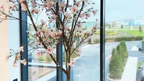 Árbol de flores en interior de casa