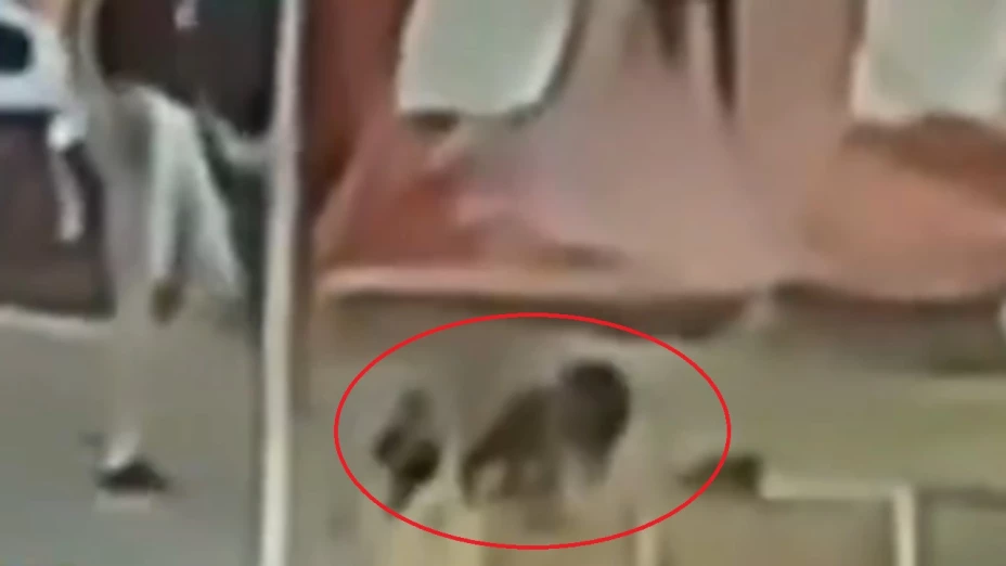 brutal golpiza ciclista