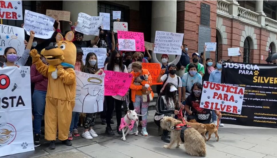 Piden justicia para Silver en Tlalnepantla, Edomex 3.jpeg