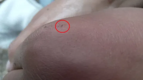 Niño Viuda Negra Spider Man.jpg