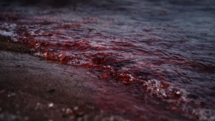 Con sabor a MUERTE: El día que miles bebieron agua contaminada por un cadáver