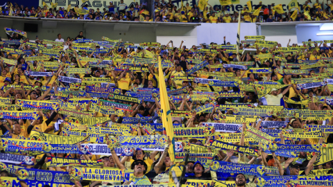 Aficionados del América