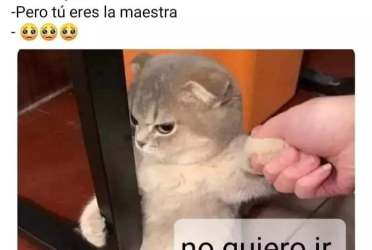 Feliz Día del Maestro: Los mejores memes de este 15 de mayo